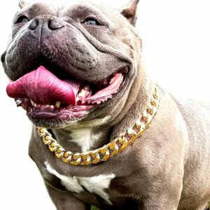 Gold Chain Dog Collar – 7/8 inch Wide